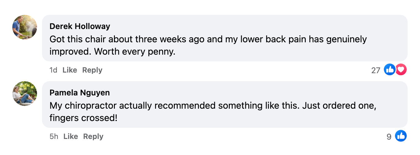 What others are saying about the Ergo Back Shield